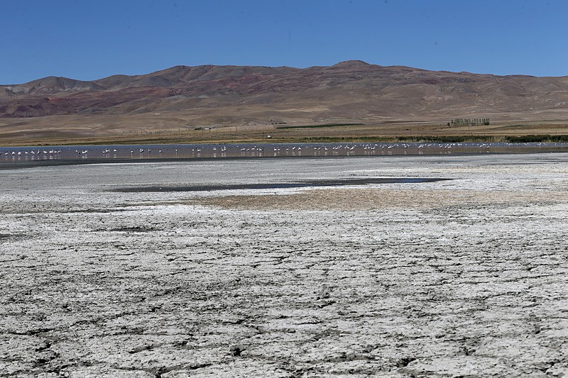 Kurak sürenin uzaması nedeniyle Erçek Gölü'nün kıyılarındaki çekilme arttı. (AA)