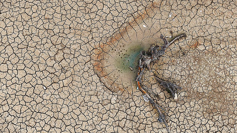 Bursa'da barajlar kurudu (Fotoğraf: İHA)