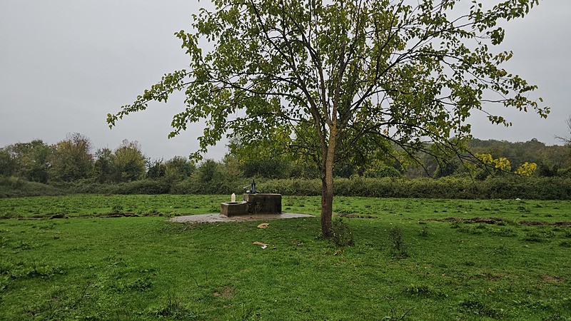 Zonguldak'ta su kuyusunda bulunan cesedin Hasret Akkuzu'ya ait olduğu belirlendi. Çok sayıda kişi gözaltına alınırken cezaevi firarisi Deniz Boyacı da Aydın'da yakalandı. (DHA)
