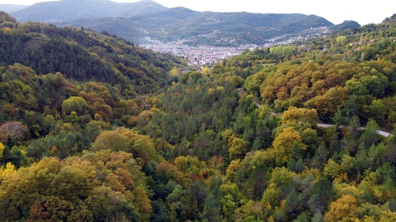 Orman ile yerleşim alanları arasında tampon bölgeler oluşturulacak (Fotoğraf: AA)