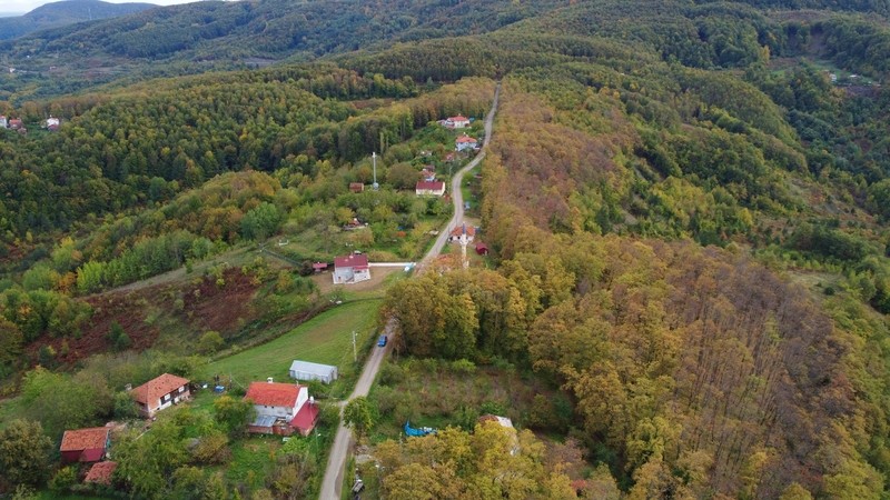 Orman ile yerleşim alanları arasında tampon bölgeler oluşturulacak (Fotoğraf: AA)
