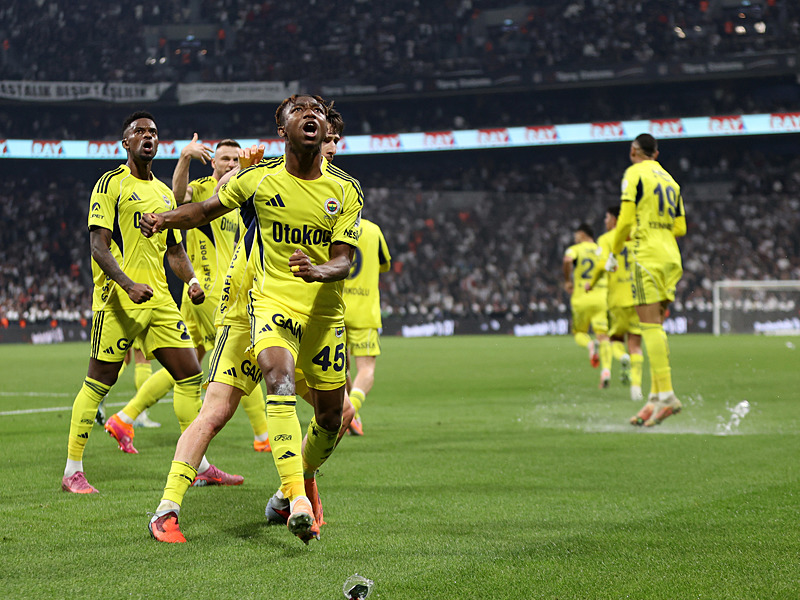 Fenerbahçe'nin gol sevinci (AA)