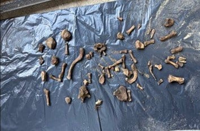 CİNAYET ZANLISININ BAHÇESİNDE BULUNAN KEMİKLER KAYIP EMRAH ELVEREN'E AİT ÇIKTI. (İHA)