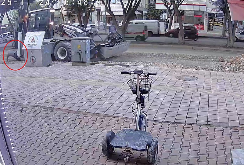 Kepçenin altında kalarak öldü. (DHA)