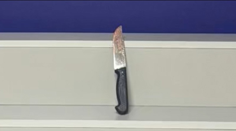 sariyerde-mal-kavgasi-ogul-babasini-sirtindan-bicakladi-1764419464539.jpeg Bıçak (DHA)