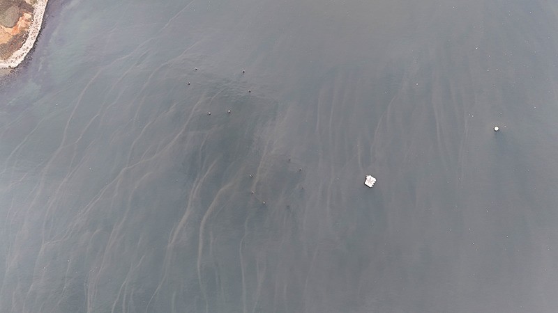 Haramiderenin Marmara Denizi'ne kadar olan zehir akan yolculuğu (İHA)