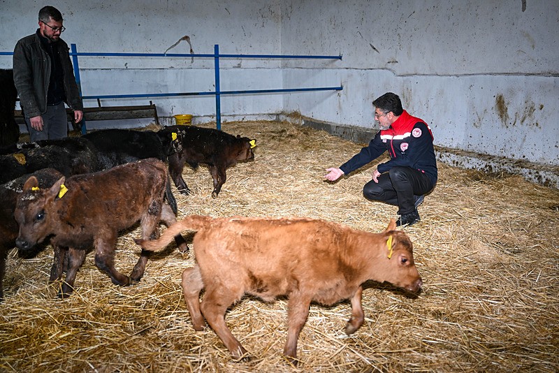 kirmizi-et-uretimini-artiracak-kirsalda-bereket-hayvanciliga-destek-projesi-meyvelerini-vermeye-basladi-1765442803871.jpeg Bakan İbrahim Yumaklı (AA)