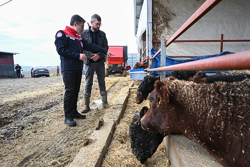 kirmizi-et-uretimini-artiracak-kirsalda-bereket-hayvanciliga-destek-projesi-meyvelerini-vermeye-basladi-1765442810443.jpeg Bakan İbrahim Yumaklı (AA)