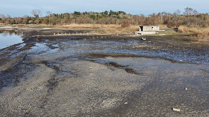 Terkos baraj gölünde son durum (Fotoğraf: DHA)