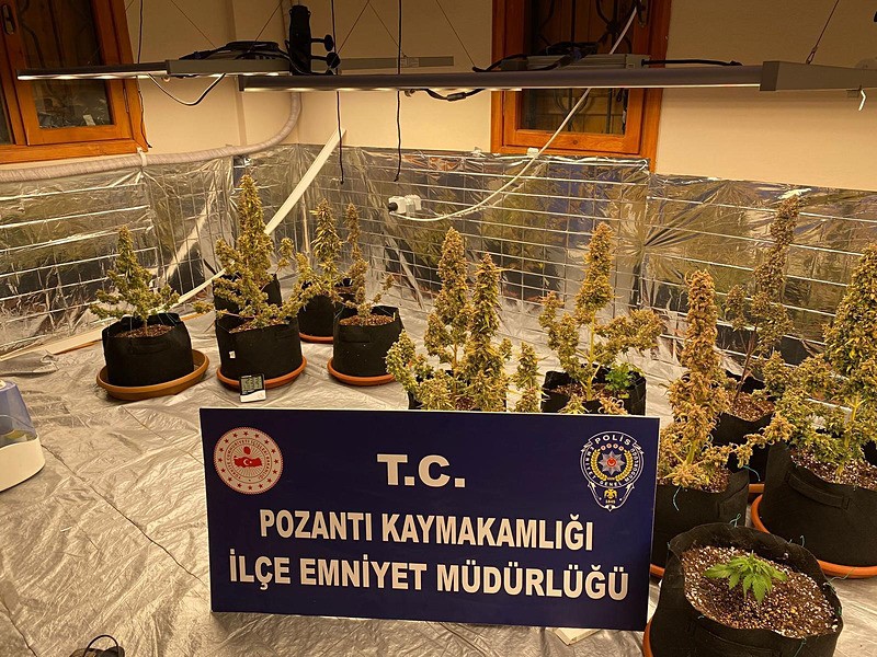 Adana'da uyuşturucu madde üretildiği belirlenen villaya yapılan baskında 4 kilo 778 gram esrar, 40 kök Hint keneviri ele geçirirken, çok sayıda iklimlendirme sistemi malzemesine el konuldu (DHA)