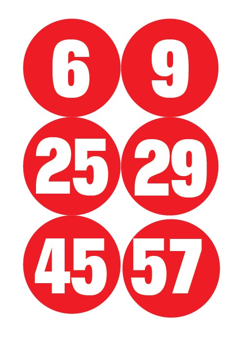 Süper Loto 46 milyon devretti-1