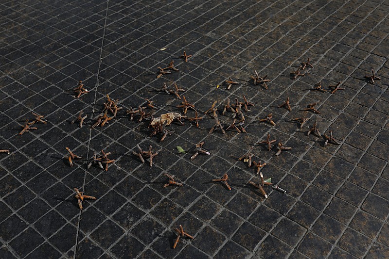 Meksika'da kartel lideri öldürüldü ortalık savaş alanına döndü-7