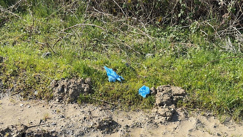 İstanbul’da korkunç infaz: Çinli iş insanı bağlanıp diri diri gömüldü-7