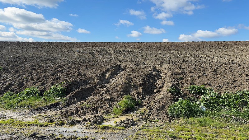 İstanbul’da korkunç infaz: Çinli iş insanı bağlanıp diri diri gömüldü-8