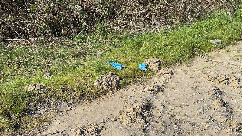 İstanbul’da korkunç infaz: Çinli iş insanı bağlanıp diri diri gömüldü-9