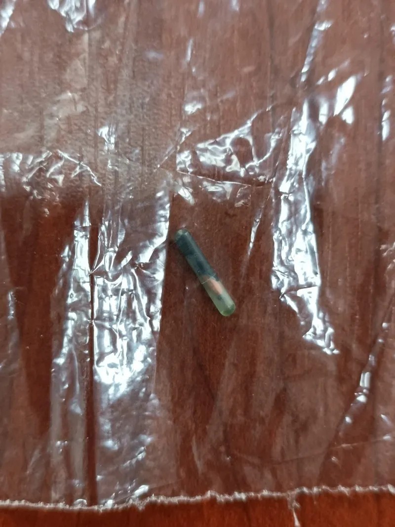 Mersin Büyükşehir Belediyesi'nin kavurma olarak dağıttığı Smart Latch isimli atın sahibine ceza kesildi-2