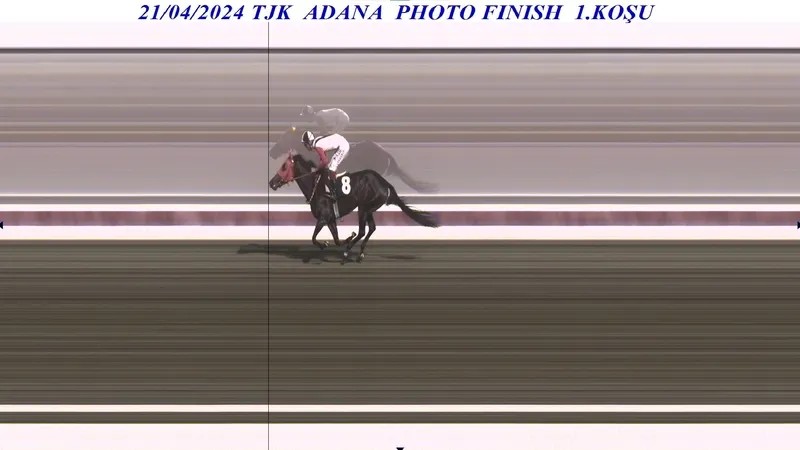 Mersin Büyükşehir Belediyesi'nin kavurma olarak dağıttığı Smart Latch isimli atın sahibine ceza kesildi-3