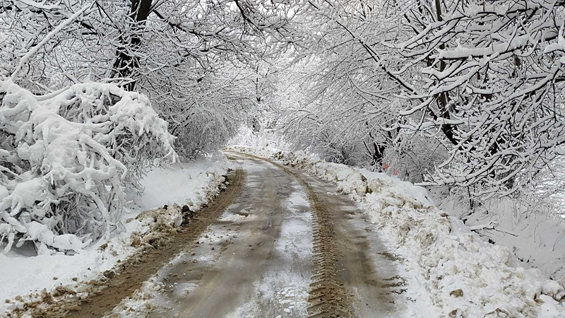 1773551181341.jpeg Meteoroloji'den sarı kod: 90 KM fırtına, toz, sağanak ve kar bir arada! 19 il için saat verildi-11