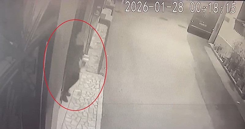 "Eşim kayıp dedi" fail çıktı: Bursa'da emekli polis Ali Fuat Uzunoğlu'nu 15 parçaya bölen Adalet Uzunoğlu tutuklandı-5