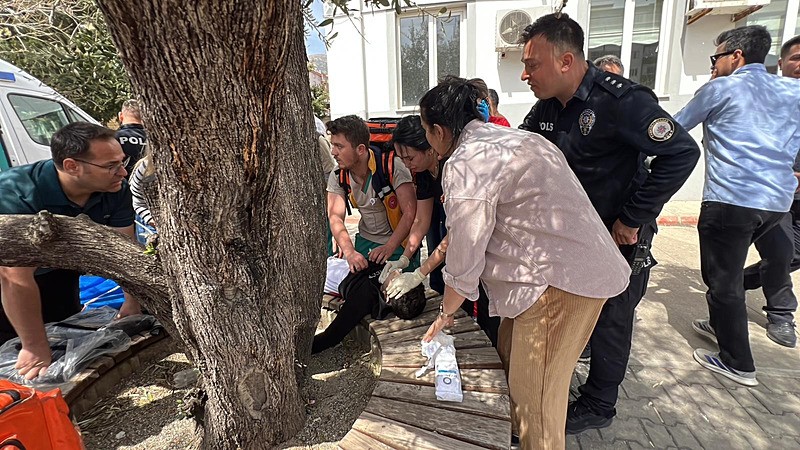 okulda-teror-sonrasi-c31k-skandali-kan-donduran-yazismalar-tepki-cekti-1776265505828.jpeg Okul saldırısını övdüler! C31K grubundan infial yaratan paylaşımlar: Vurabildiğini vur-3