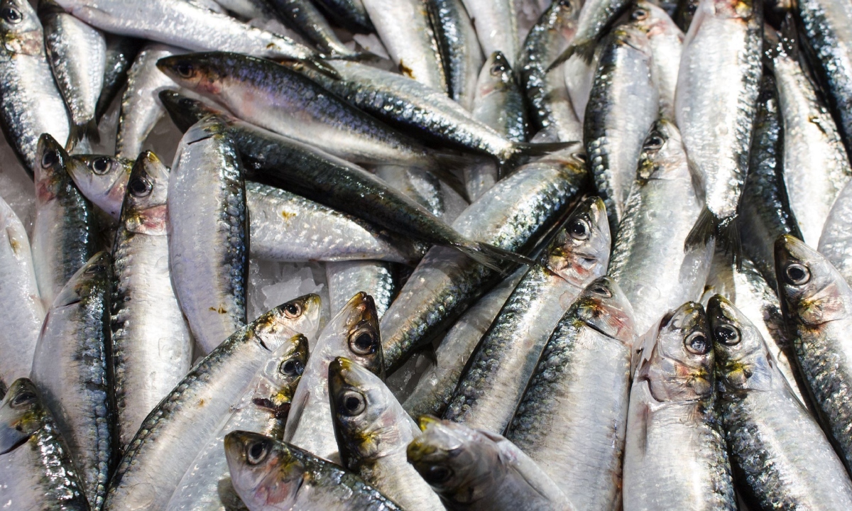 Keten tohumu yağı 100 mililitrede 50-60 gram omega-3 ile bitkisel kaynaklar arasında en yüksek içeriğe sahip.