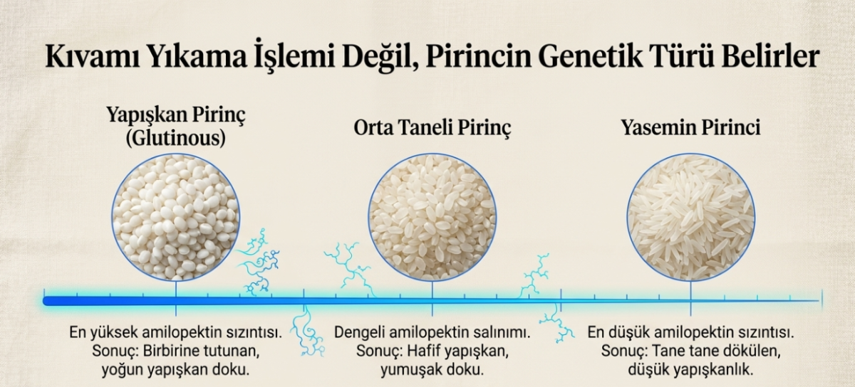 arastirmalar-yaniti-degistirdi-pirinc-pisirmeden-once-yikanmali-mi-1781445363208.png Araştırmalar yanıtı değiştirdi: Pirinç pişirmeden önce yıkanmalı mı?-3