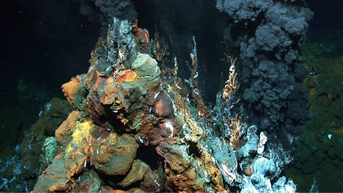 (Haberin fotoğrafları Nautilus Minerals, Tokyo Üniversitesi ve Takvim Foto Arşivi'nden alınmıştır.)