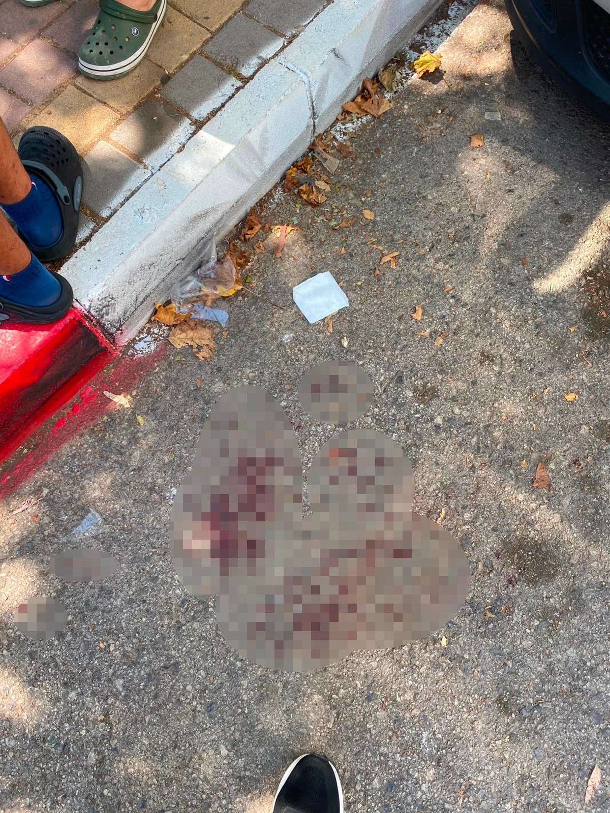 Motokuryenin iki parmağı kopma noktasına geldi.