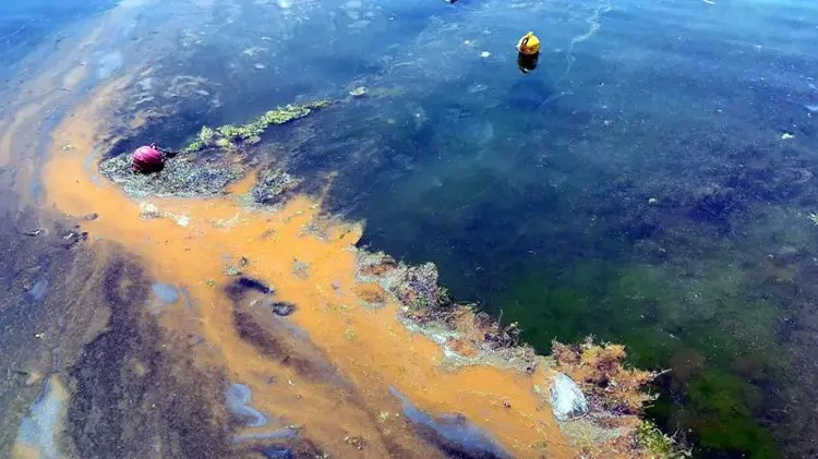 1788427786979.jpeg Tuğberk İmamoğlu gemisini batıran Alsu tankerinin sicili: Tahıl koridorundan çevre felaketine-4