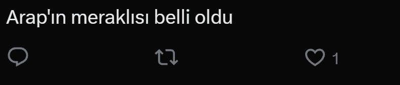 1790770039946.jpeg Melis Sütşurup Dubai'de! Mustafa Sandal'ın Arap düşmanlığı gündemde-5
