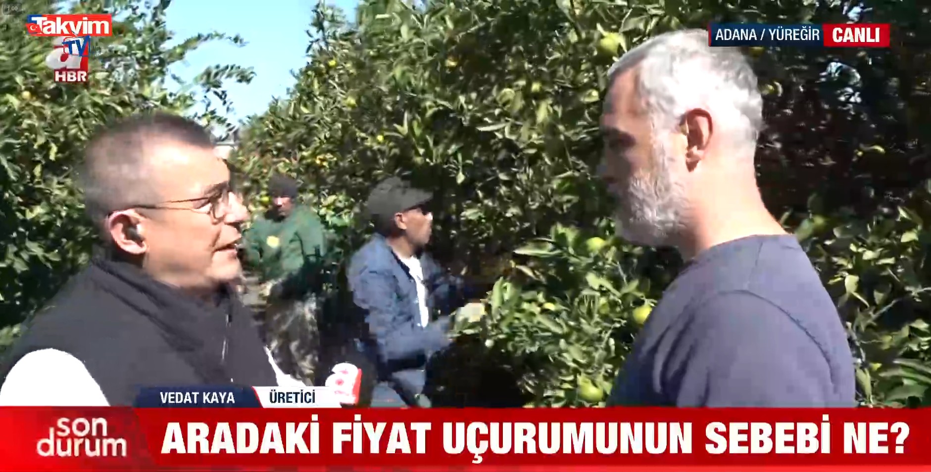 1792564315608.jpg Mandalina tarlada 2 lira zincir markette 50 lira! Üretici fiyat politikasına tepkili-4