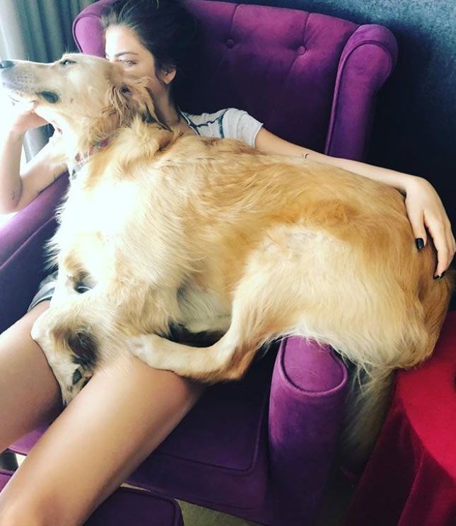 Elçin Sangu’yu hiç böyle görmediniz! Ünlüler ve sevimli dostları