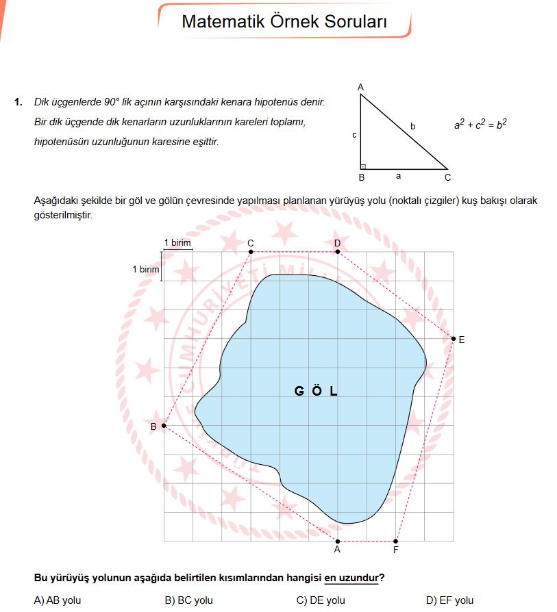 MEB Mayıs ayı LGS örnek sorular ve cevap anahtarı! LGS 7. örnek sorular listesi