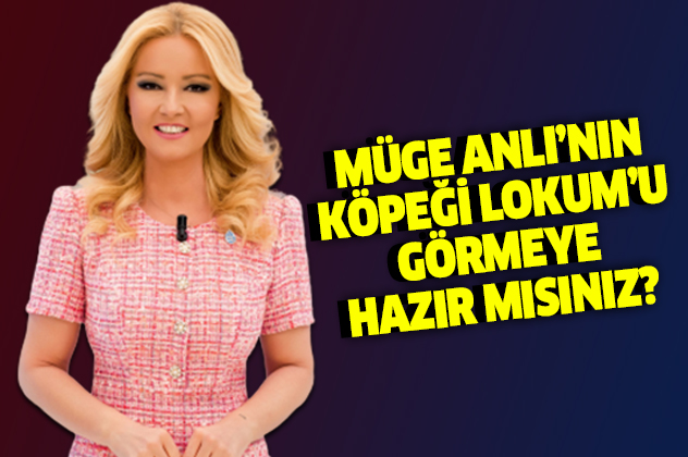 Muge Anli Nin Kopegi Lokum Rekor Kirdi Iste Herkesin Merak Ettigi Muge Anli Nin Oglu Galeri Takvim