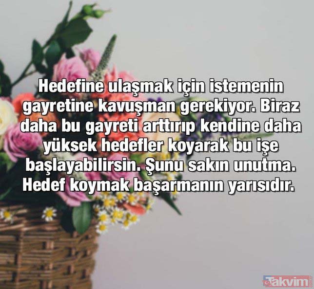 Karne kutlama mesajları 🎀 Whatsapp, Instagram, Facebook anaokulu, ilkokul, ortaokul, lise 1. dönem resimli-yeni karne mesajları 2024!