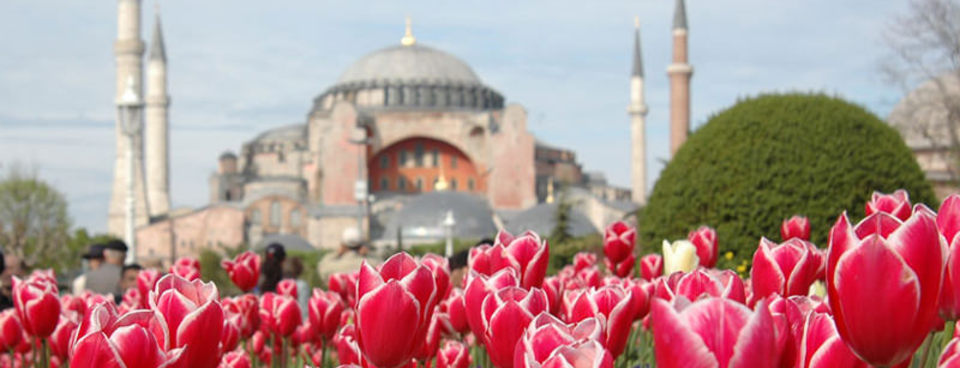 Lale Devri "Lale Halısı" ile geri geliyor-1
