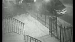 Sokak ortasında köpek dehşeti