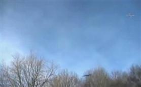 Kartal parktaki çocuğu kaptı