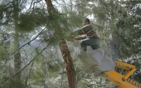 Devir fragman