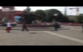 Alman polisi eylemciyi böyle vurdu