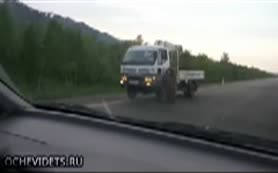 Yol kesen ayılar dilencilik yapıyor