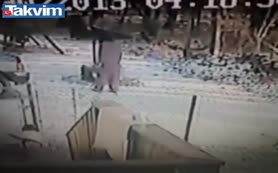 Çılgın kedi kadına böyle saldırdı