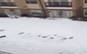 Çatıdaki karlar aynı anda düşünce...