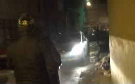 Ayı zabıtaya saldırınca...