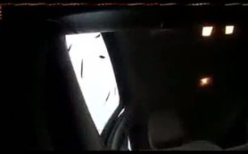Seyir halindeki otomobilin üzerine ağaç devrildi