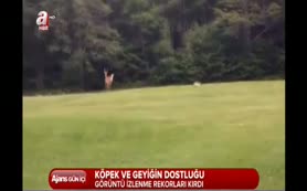 Kıskandıran dostluk!