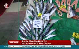 Balık fiyatları cep yakıyor!