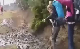 Bu kazalar sizi çok güldürecek