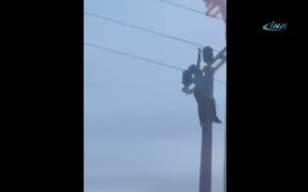 Elektrik minik çocuğu böyle çarptı!