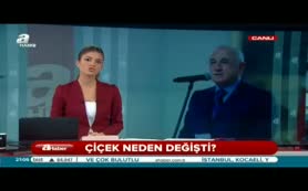 Cemil Çiçek'in yaman çelişkisi!